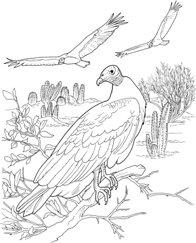 Turkey Vultures In A Desert Coloring Page